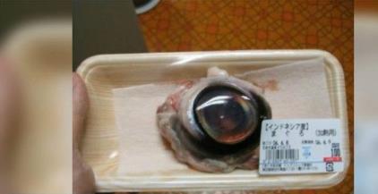 全球12种最恶心的食物