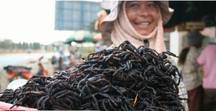 全球12种最恶心的食物