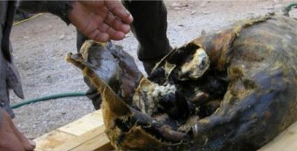 全球12种最恶心的食物