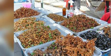 全球12种最恶心的食物