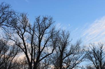 中国七大闹鬼的地方 中国七大闹鬼的地方