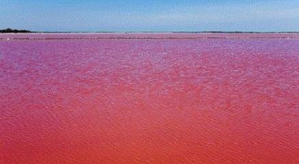 血瀑布血雨血水湖 血瀑布血雨血水湖