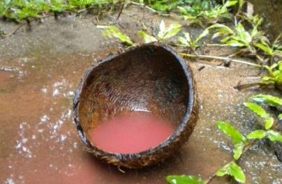 血瀑布血雨血水湖 血瀑布血雨血水湖