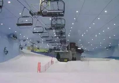 天哪我的迪拜 天哪我的迪拜