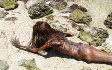 世界十大兽人 世界十大兽人