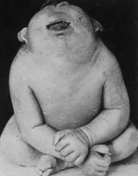 世界十大兽人 世界十大兽人