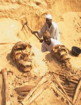 世界十大兽人 世界十大兽人