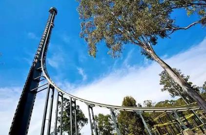 这过山车太吓人了 这过山车太吓人了