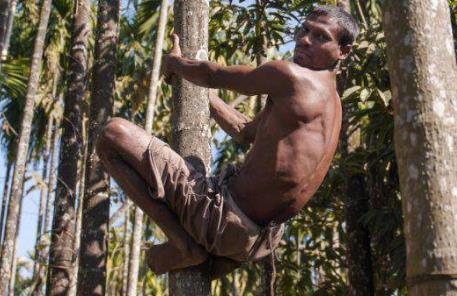 全球7大不寻常的人类 全球7大不寻常的人类