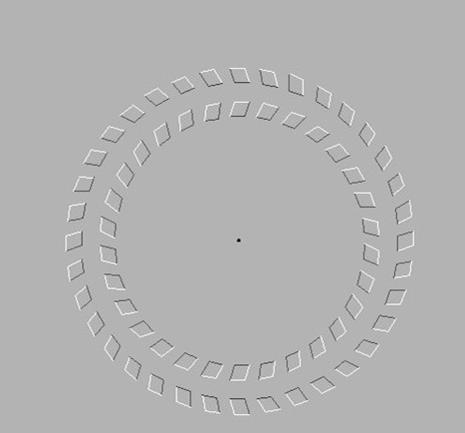 世界上最神奇的图片