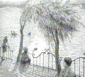 世界上最神奇的图片