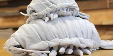 世界上最奇怪的鱼