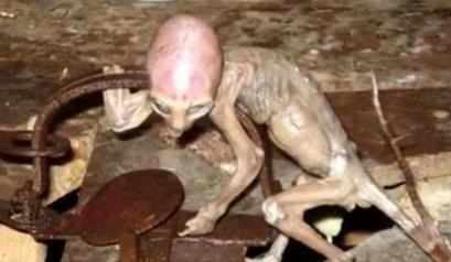 世界上最恐怖的真实事件 世界上最恐怖的真实事件