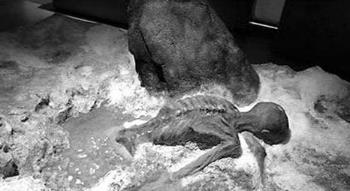 世界上最恐怖的真实事件 世界上最恐怖的真实事件