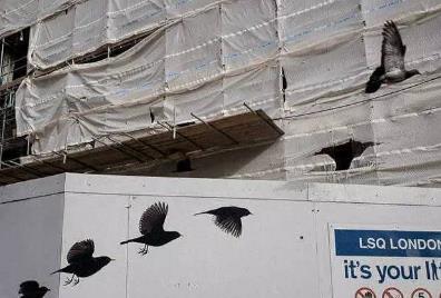 世界美的巧合 世界美的巧合