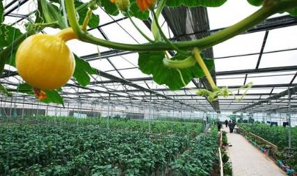 远离癌细胞从饮食开始