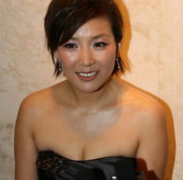 祖籍河北的十大迷人女星