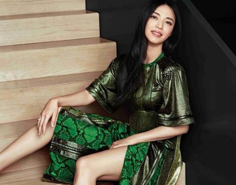 祖籍是福建的十大绝色女星 祖籍是福建的十大绝色女星