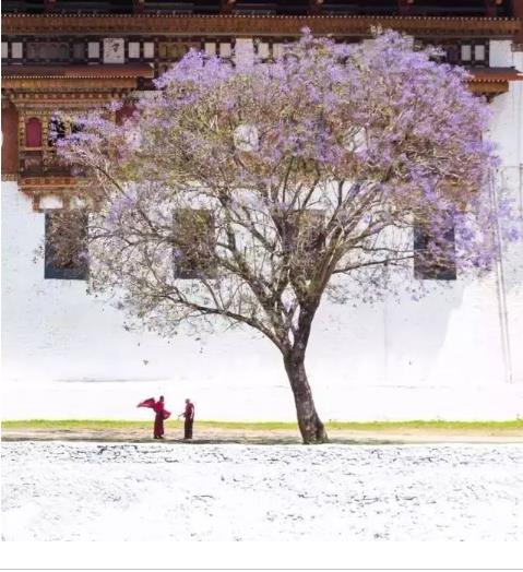 世界上最不发达的国家之一 世界上最不发达的国家之一