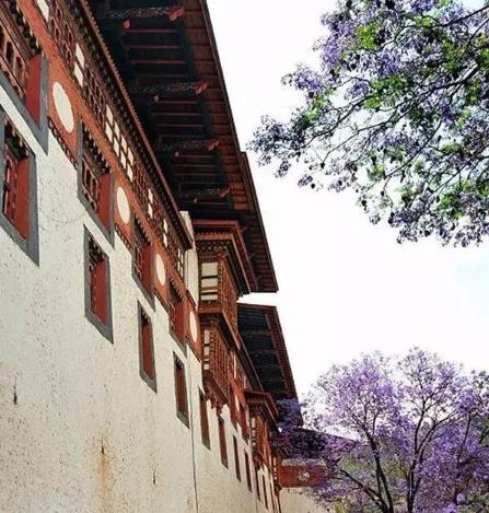 世界上最不发达的国家之一