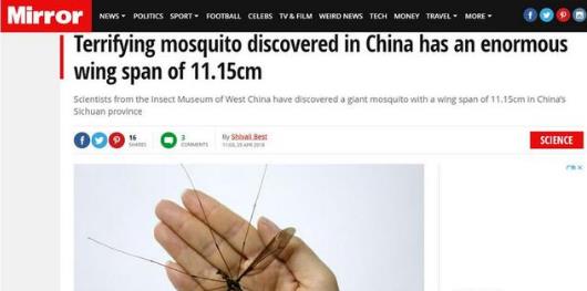 中国发现世界最大的蚊子 中国发现世界最大的蚊子