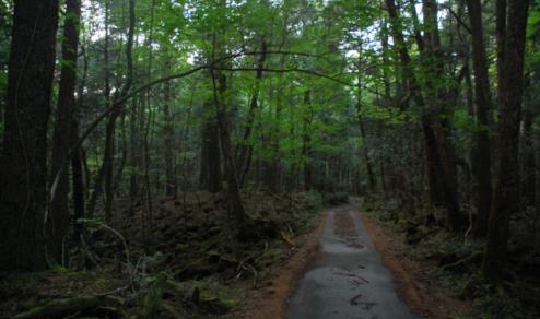 世界十大最可怕的旅游景点
