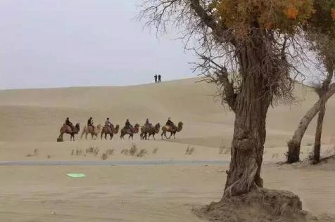 有去无回！全球最恐怖的十大