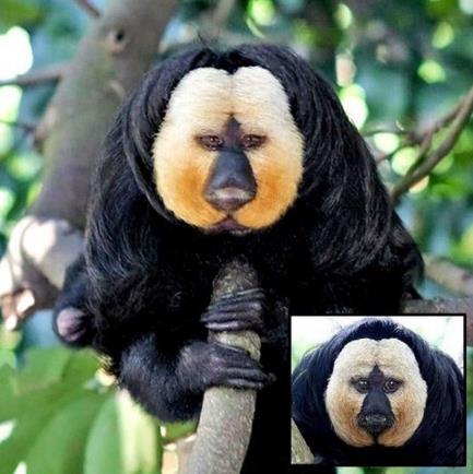 全球最恐怖最罕见的动物 全球最恐怖最罕见的动物