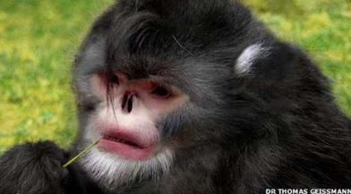 全球最恐怖最罕见的动物 全球最恐怖最罕见的动物