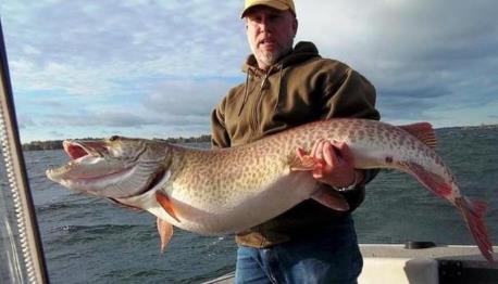 世界十大最凶猛淡水鱼