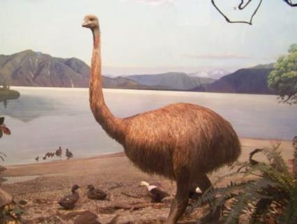 地球上的远古十大怪兽 地球上的远古十大怪兽