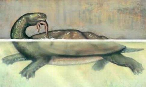 地球上的远古十大怪兽