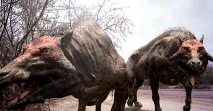 地球上的远古十大怪兽