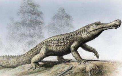 地球上的远古十大怪兽