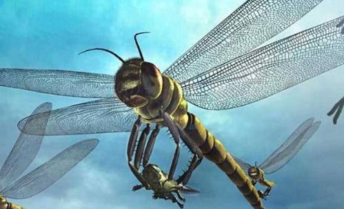 地球上的远古十大怪兽