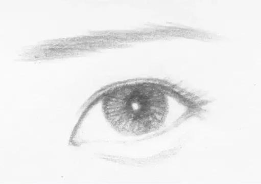 常见的几种眼型 常见的几种眼型