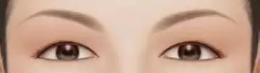 常见的几种眼型 常见的几种眼型