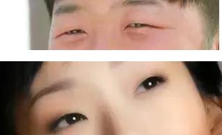 常见的几种眼型 常见的几种眼型