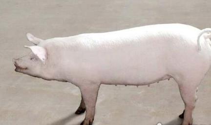 你相信轮回转世吗