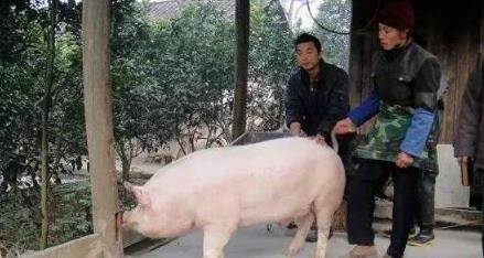 你相信轮回转世吗