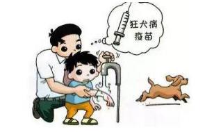 古人被狗咬伤怎么办 古人被狗咬伤怎么办