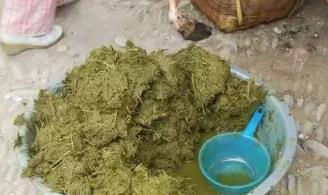 黑暗料理牛粪做的火锅