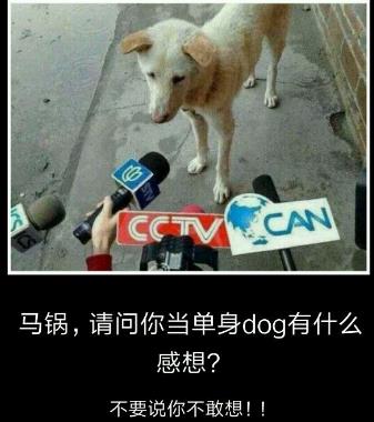 单身不可怕就怕有文化