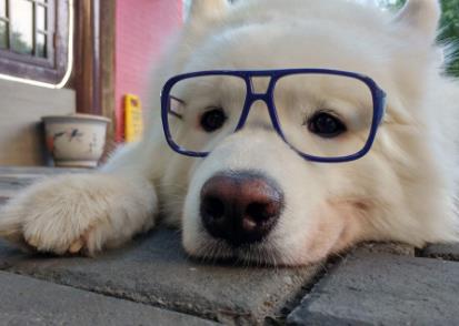 如何说自己单身