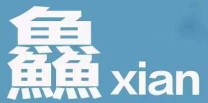 中国最尴尬的文字