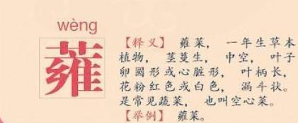 不常见却常用到的汉字