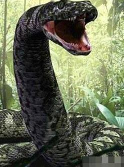 解放军炸死千年蛇妖