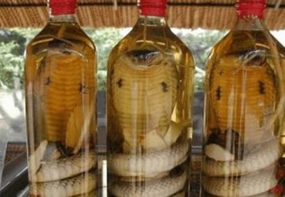 蛇泡药酒