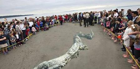 昆仑山真龙现身 昆仑山真龙现身