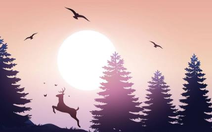 一生必看的40部影片